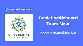 Paddleboard Tour in New Smyrna Beach, Florida