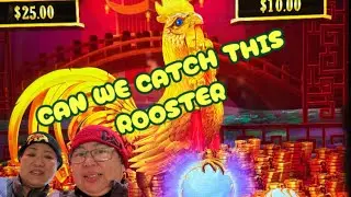 ROOSTER VS DRAGON WHICH ONE PAYS BETTER: LION LINK #slot #casino #casinogames #jackpot 