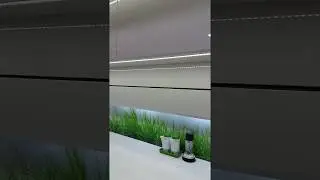 Oświetlenie ledowe w kuchni bezuchwytowej
