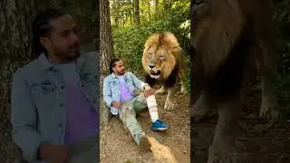 lion saved me.✅#junglestory #youtubeshorts #love #backgroundmusic #animation
