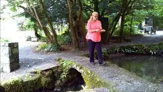 Look for water with Lecher antenna - video from geobiology e-learning training course