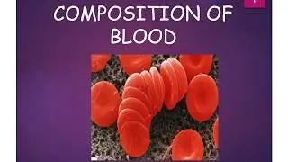 Lecture 1&2 Introduction & Hb Biosynthesis علم امراض الدم -دبلومة الكيمياء الحيوية والتحليل الحيوي