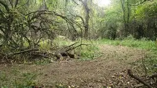 Ryder Trail Riding. 1991 Suzuki DS80
