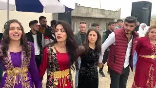 Welat tatlı görkemli düğünü Sorbitmi düğünleri Gurup Tamer silopi