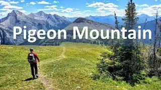Pigeon Mountain : Peaceful, easy, wildflowers and long hike near Canmore and Dead man's Flats