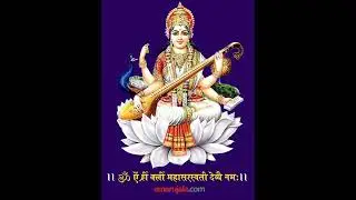 सरस्वती जी भजन सत्संग भजन:सरस्वती विद्या दे और ज्ञान तेरेचरणा मैं मेरा ध्यान #भजन #भक्ति #सत्संगभजन 
