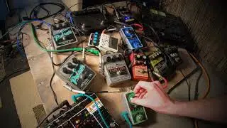 Dual Feedback loops