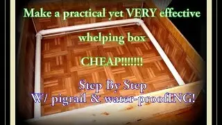 Making A Whelping Box: Easy Step By Step Guide With Pigrail CHEAP!
