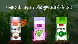 एग्रोस्टार के फास्टर, फ्लोरेन्स और स्टेलर हैं विकास अवस्थाओं में फसल के लिए उपहार!