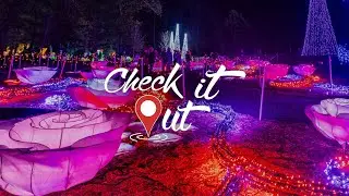 Garvan Woodland Gardens Holiday Lights | Check It Out! Hot Springs, Arkansas