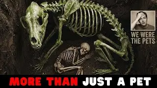 The Skeleton Holding A Paw: Uncovering A 14,000 Year Old Secret | Dr.DogPedia