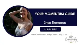 Your Momentum Guide