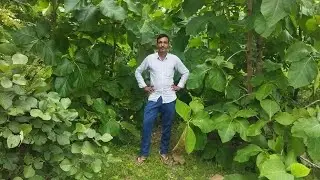 आइए आज की लाइव में स्वागत है आपका जयहिंद जयभारत वन्देमातरम 🇮🇳🇮🇳🇮🇳🇮🇳 जय श्री राम 🙏