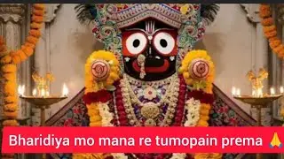Bharidiya mo manare tumo pain prema 🙏