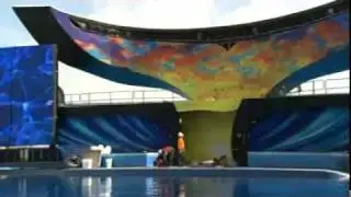 A Look at One Ocean at SeaWorld