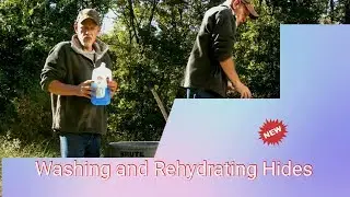 Washing & Rehydrating Hides