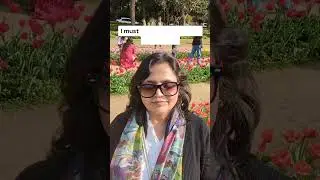 Farewell to the Tulips #tulipfestival #delhidiaries #shorts  #preetikachruphotography #shortvideo