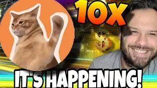 The Crypto Market Is Transitioning! Alt Coin Season Could Be Here! CatSlap Ready To Run!