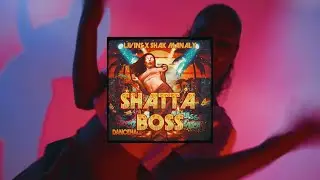 LJvins ft.Shak Manaly&ndash; Shatta Boss (Official Visualizer)