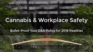 Legalized Cannabis & Workplace Safety: Bulletproof Your D&A Policy