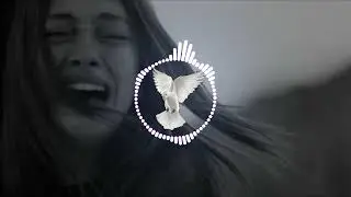 Pakhi Amar Bhuila Gese Kosto Dhiya Ama re Slowed +Reverb 😞 😭🎵Sad song Bangla ( Ai Audio Music 25 )