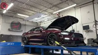 2018 Ford Mustang GT 5.0 - Manual - Procharger D1x- Custom Dyno Tune