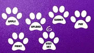 WATCH this Easy Step-By-Step Guide To Getting Bahamas Pet Permits, Vet Requirements and Arrival Day