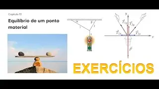 Equil&iacute;brio de um ponto material AP07