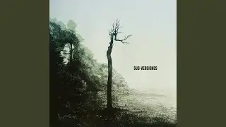 Lágrimas de Sangre (feat. Orquesta El Empuje & Sebastián Bolívar)