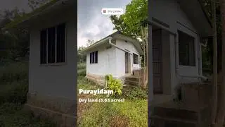 Prime 3.63 Acres for Sale in Kottayam! Build your dream or farm in Inchiyani. Call 892-124-0847. 🫂✨