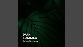 Twilight Flora