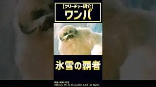 【1分解説】ワンパ #starwars #解説