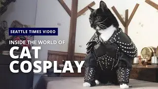 Behind the scenes with Cat Cosplay