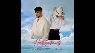 Hablemos _Bad Bunny x Diego LS Camacho 