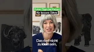 🐱🦴 So bleiben Katzenz&auml;hne nat&uuml;rlich gesund #TierarztTipp #ganzheitlichetiermedizin