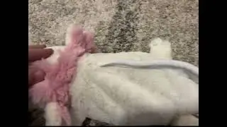 warmies Microwavable & Weighted Stuffed Animals #Axolotl #stuffedanimals