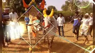 Hosur .Beerjepalli.Big boss RAGHU bulls