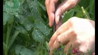 City Irrigation Antelco Two Piece Jets for Micro Irrigation