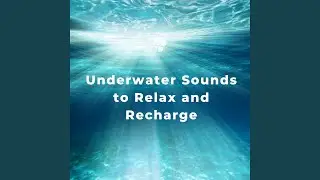 Underwater Journey