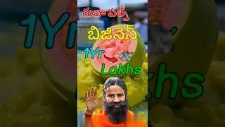 గ్రామంలోనే చిన్న ఫ్యాక్టరీ పదేళ్ళ వరకు డిమాండ్! Guava pulp profitable business #telugu #తెలుగు