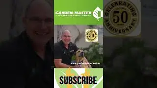 sheds Adelaide - subscription