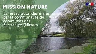 Mission nature : la restauration des mares par la communaut&eacute; de communes des Bertranges (Ni&egrave;vre)
