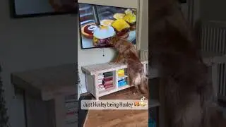 🤣🤣🤣