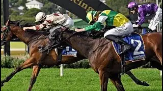 Revolutionizing Racing: NZB Kiwi Emerges as the Southern Hemisphere's Richest 3-Year-Old Race