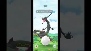 Шундо Райкваза сбежал 😭😭 Почти 💔 | Pokemon Go |