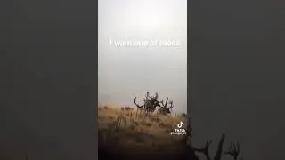 #hunting #dream #life