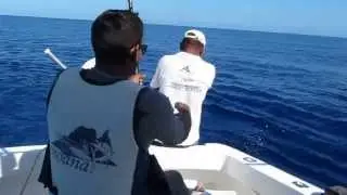 Reeling in a blue marlin
