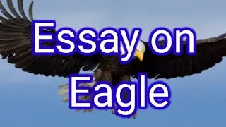 Essay on Eagle in english // Short essay 10 lines in Eagle #EssayonEagle