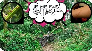 Des singles et des ronces