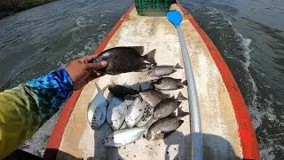 JALA BELANAK ‼️‼️ TAPI YANG KENA IKAN BARONANG‼️‼️